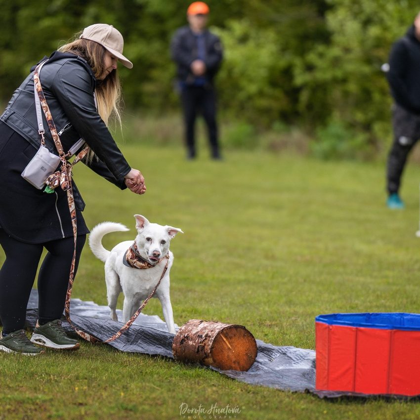 Zábavný pretek 2025